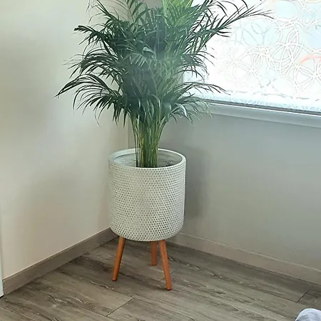 A 500m Du Meett Apartment Aussonne