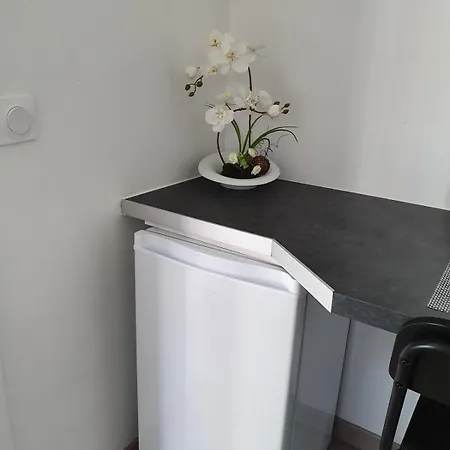 A 500m Du Meett Apartment Aussonne